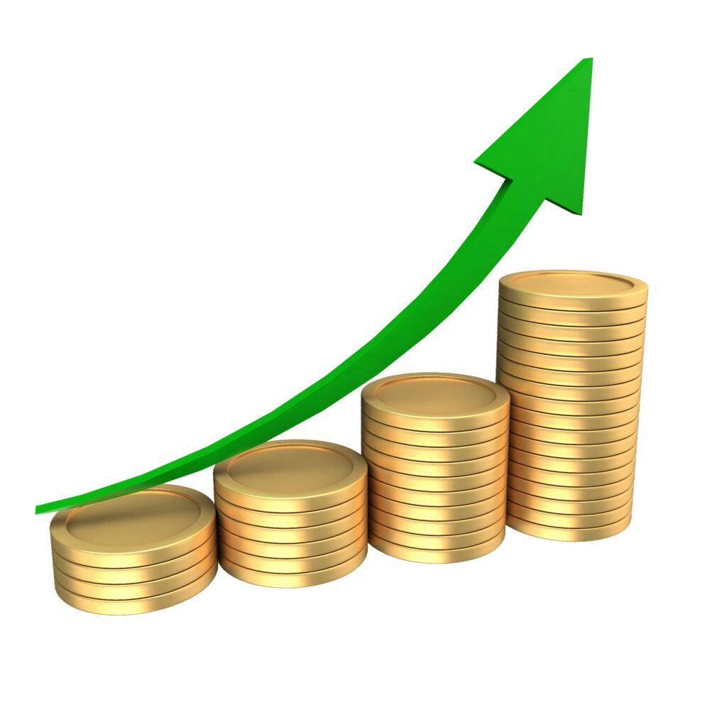 Expert bookkeeping for profit and growth